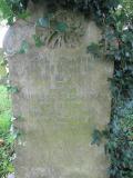 image of grave number 572956